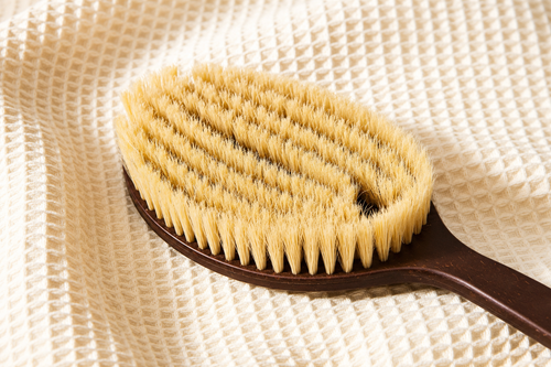 Coconut Bristle Body Brush