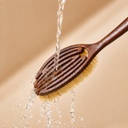 Coconut Bristle Body Brush