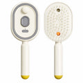 Electric Steam Hair Brush