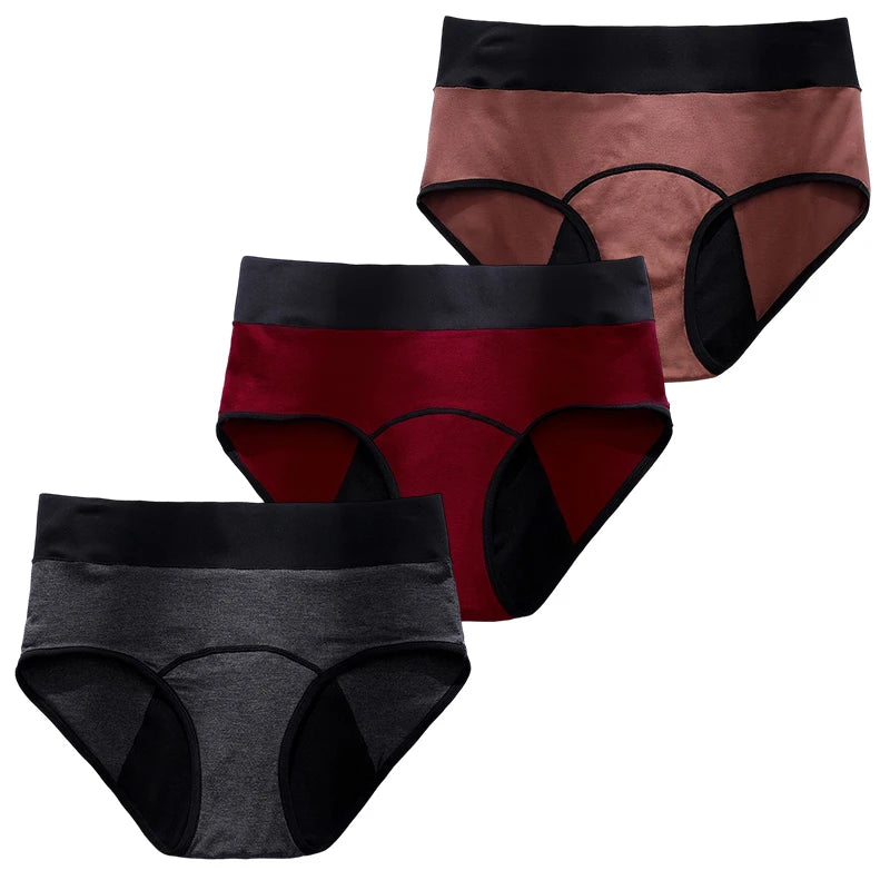 3pc Period Underwear