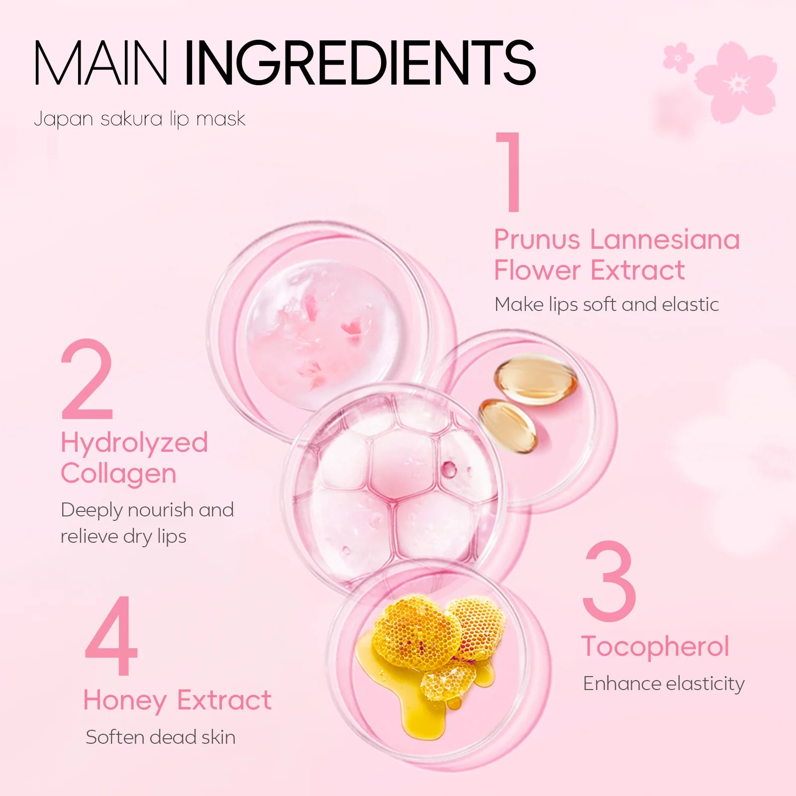 Japan Sakura Lip Mask